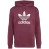 Adidas Trefoil Hoody -Magasin De Vêtements adidas h06666 trefoil hoody 1 e
