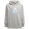Adidas Hoodie JR -Magasin De Vêtements adidas h57219 hoodie jr 1 e