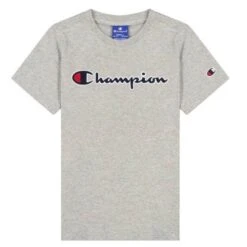 Champion 305954EM031