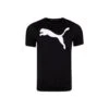 Puma Active Big Logo Tee